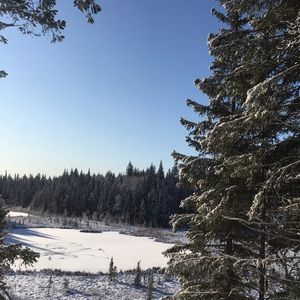 Meet your Posher, Dani